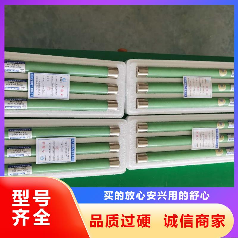 【高压熔断器高压负荷开关专业按需定制】N年生产经验