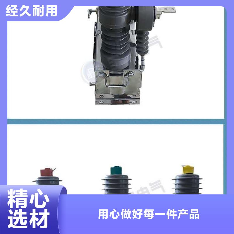 【真空断路器】-户内高压真空断路器供您所需附近品牌