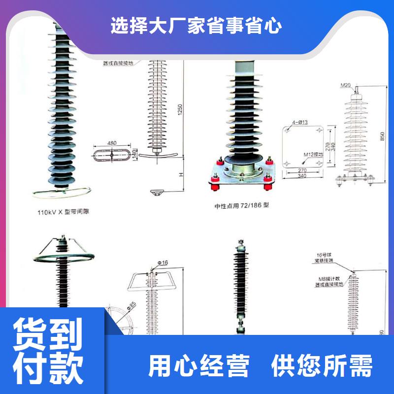 氧化锌避雷器高压负荷开关好产品价格低当地生产厂家