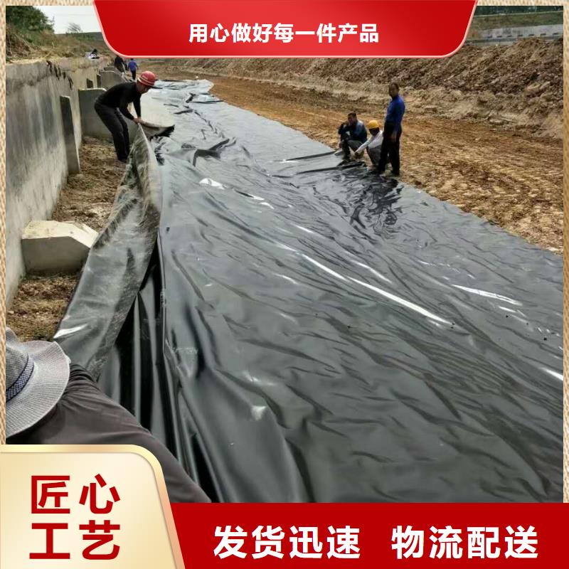 土工膜双向塑料土工格栅满足您多种采购需求支持货到付清