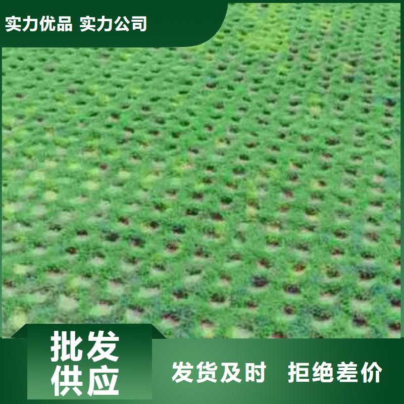 植草格-蜂巢格室厂家直销本地经销商