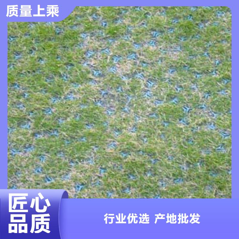 【植草格】毛细排水板产地直销厂家新品