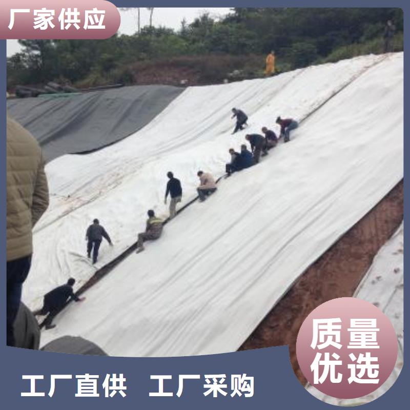 【膨润土防水毯】工程布生产型专业完善售后