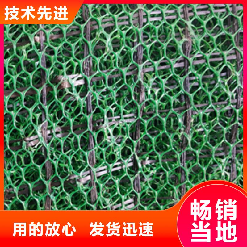 三维植被网涤纶土工格栅货源稳定现货供应