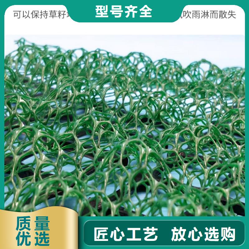 三维植被网_透水土工布实力厂商老客户钟爱