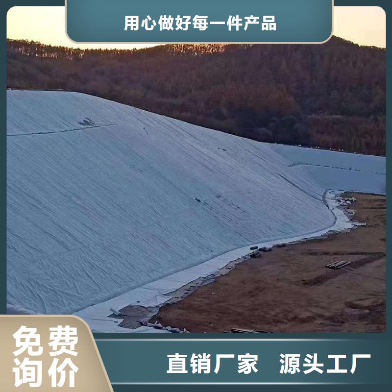 三维复合排水网HDPE黑色土工膜量大从优本地公司