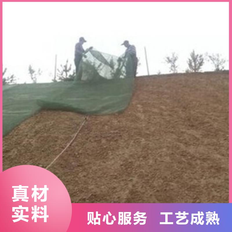 三维植被网【钢塑土工格栅】N年专注用心制作