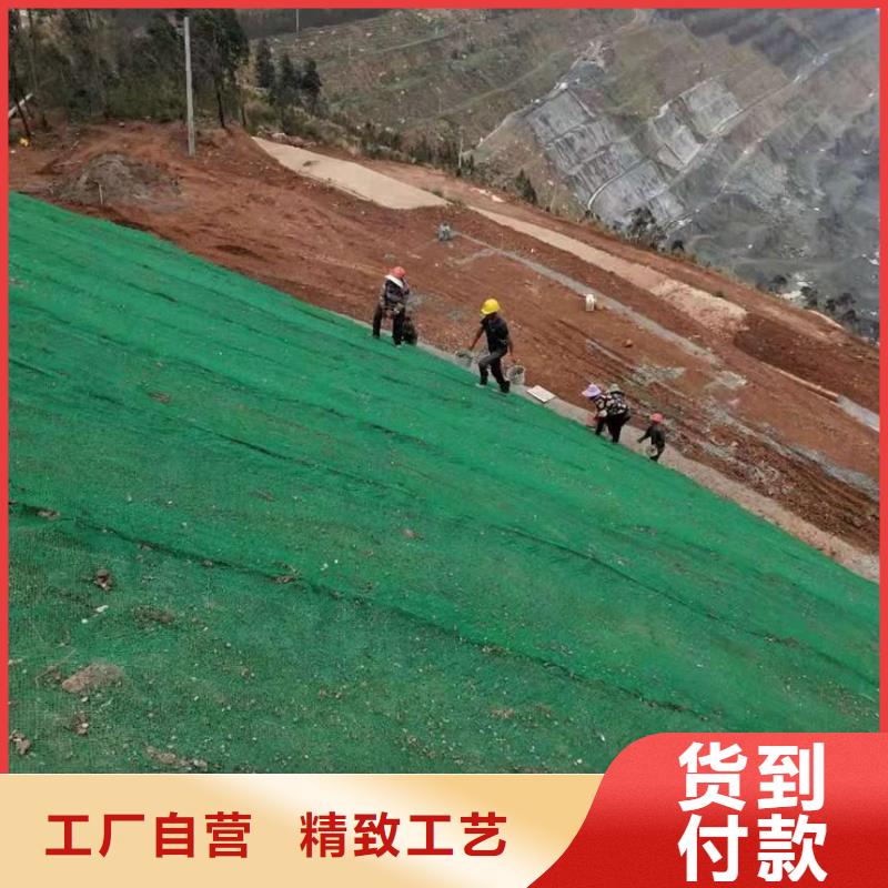 三维植被网规格齐全实力厂家工厂现货供应