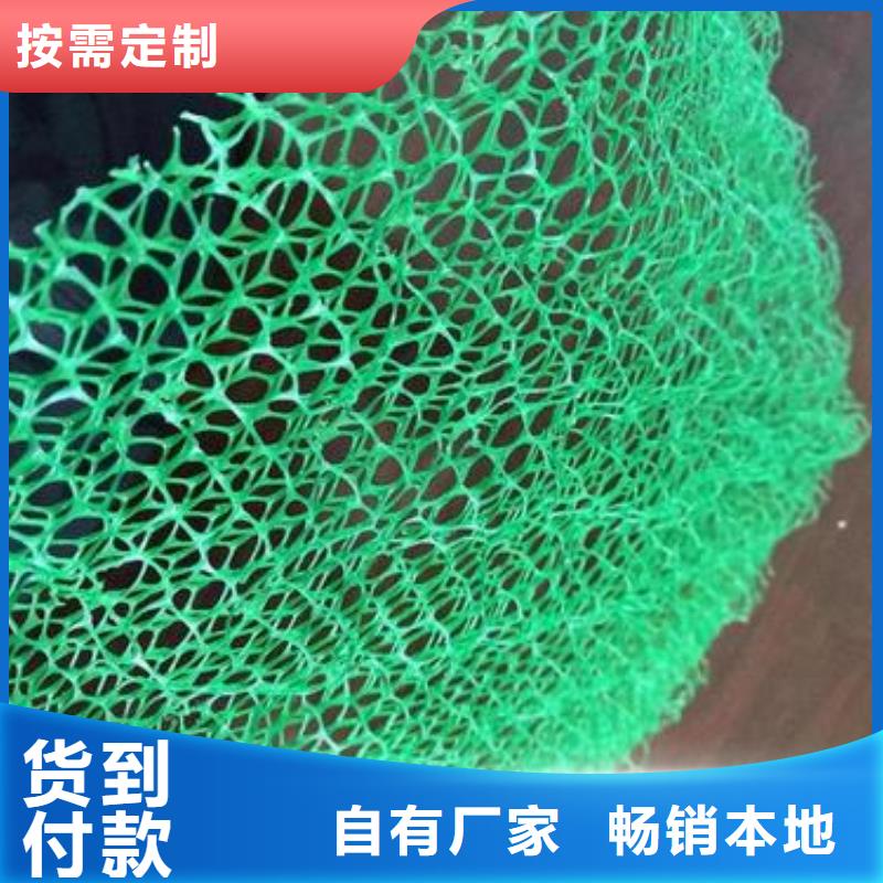 三维植被网-单向拉伸塑料格栅常年供应来图定制