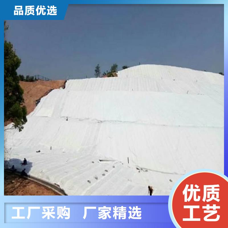 【土工布】-多向塑料土工格栅款式多样当地货源