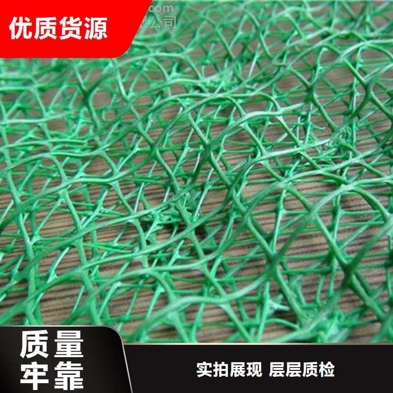 三维植被网【护坡土工网】好品质选我们海量库存