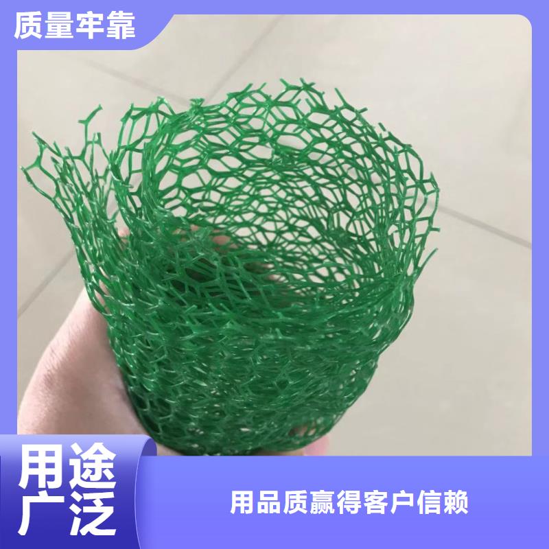 三维植被网_软式透水管现货品种全