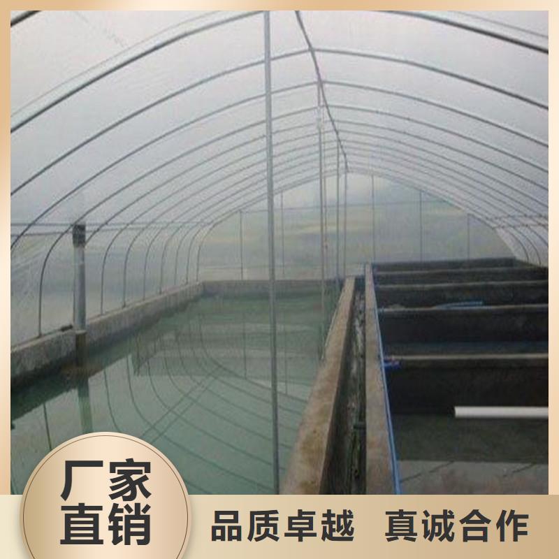 青州市高端智能温室大棚下单真材实料加工定制
