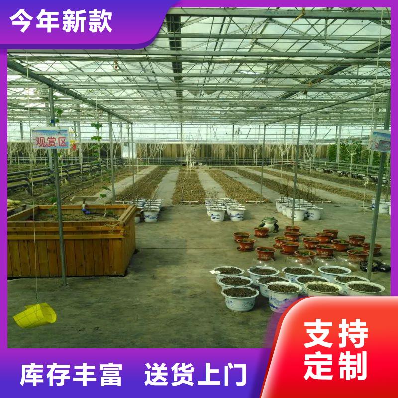 简阳市温室水培系统购买精挑细选好货