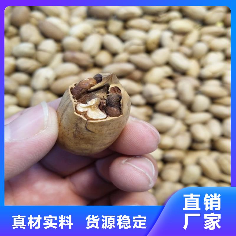 【碧根果草莓苗客户好评】质量安心