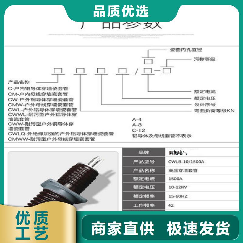 穿墙套管/CWWL-20KV/3000A浙江羿振电气有限公司实力公司