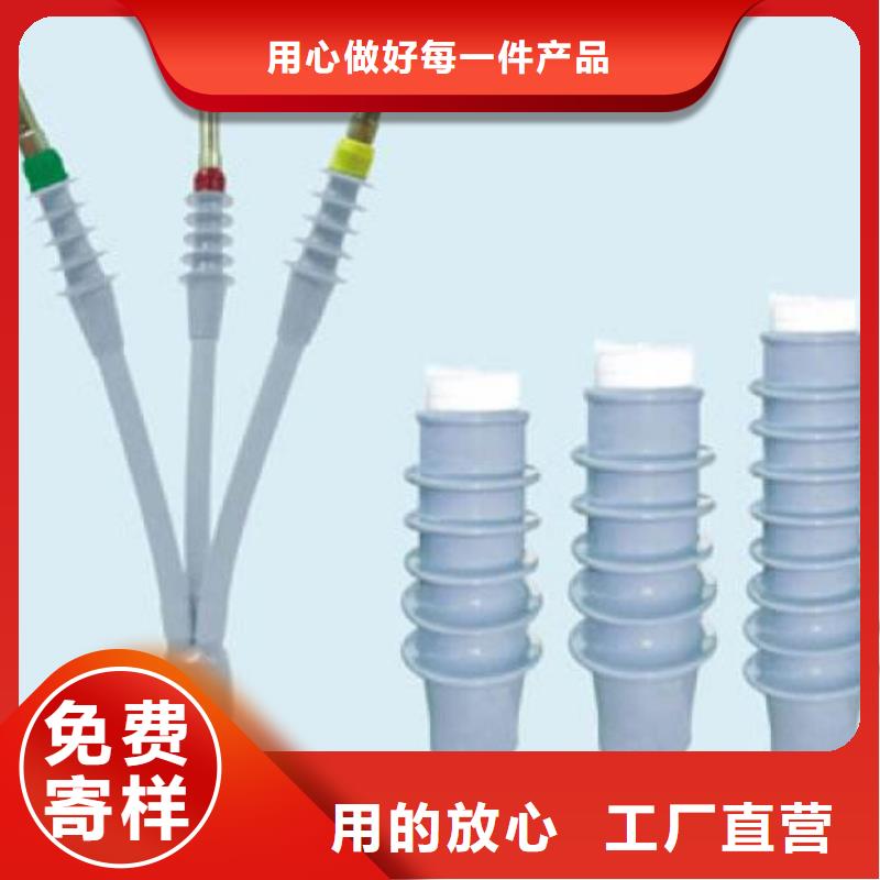 LSN-35/3.1冷缩电缆终端头_当地货源