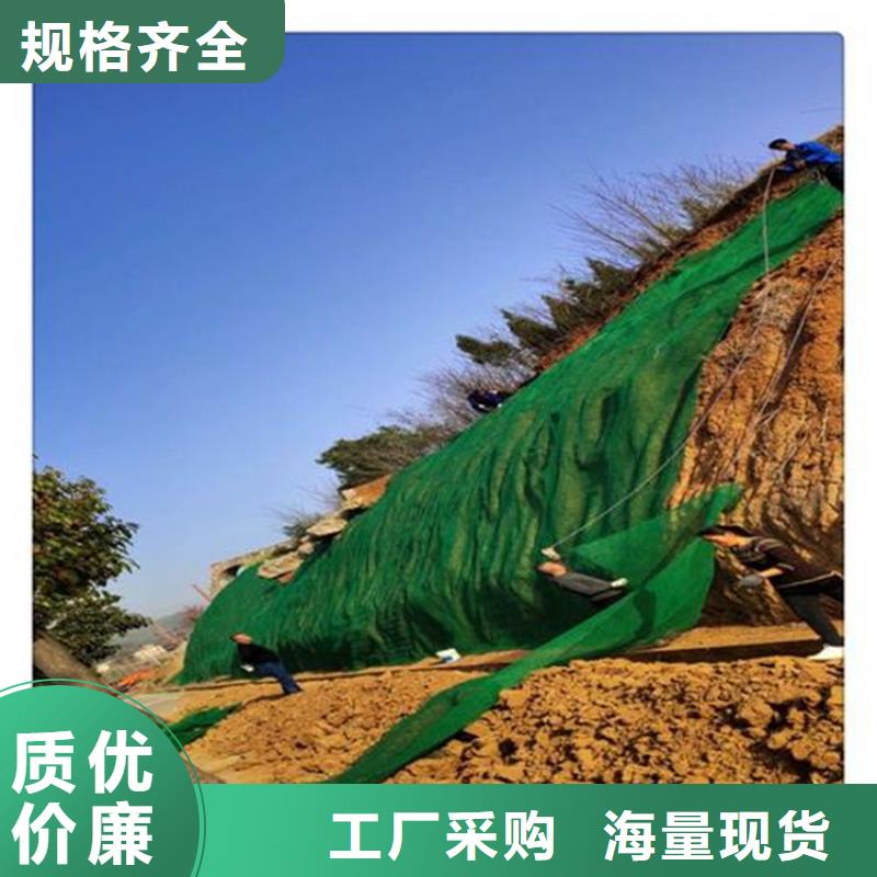 三维植被网-土工膜层层质检当地厂家