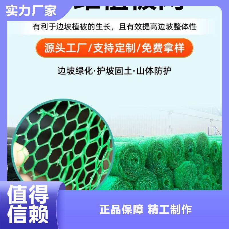 三维植被网-铜片止水厂家信誉至上选择我们选择放心