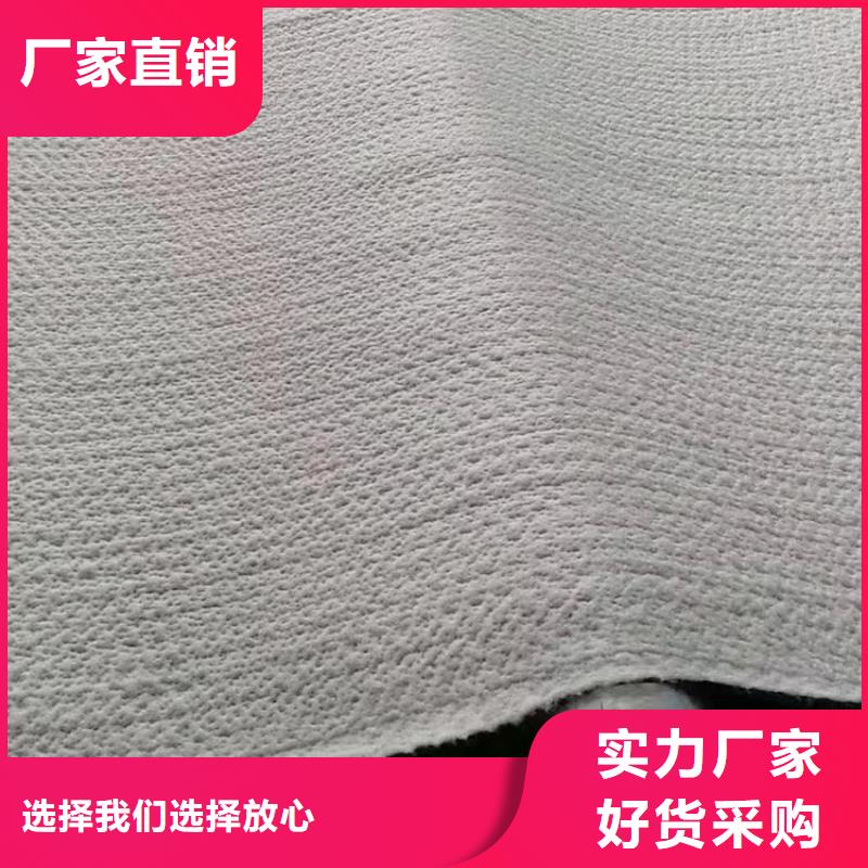 【膨润土防水毯】双向塑料土工格栅品质保障价格合理同城服务商