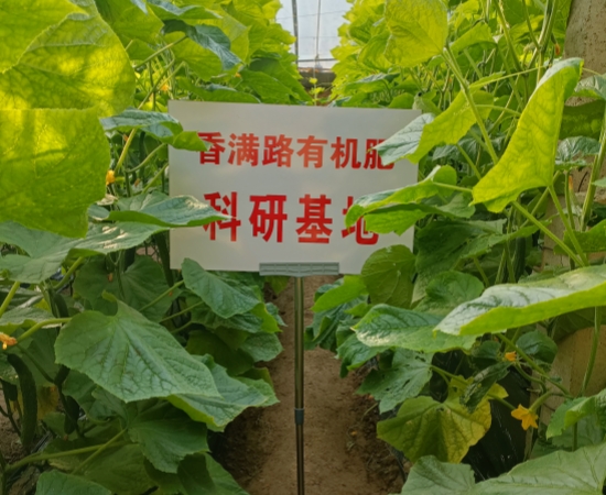 安阳濮阳济南鸡屎粪破除土壤板结