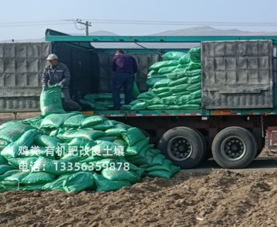 琼中县发酵鸡粪助力有机蔬菜种植