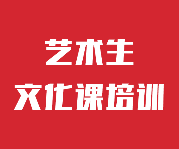 艺考文化课补习哪个好双文化课教学