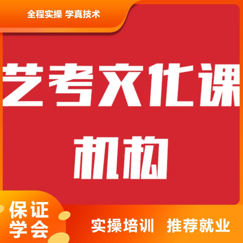 艺考文化课培训有哪些双文化课教学学真本领