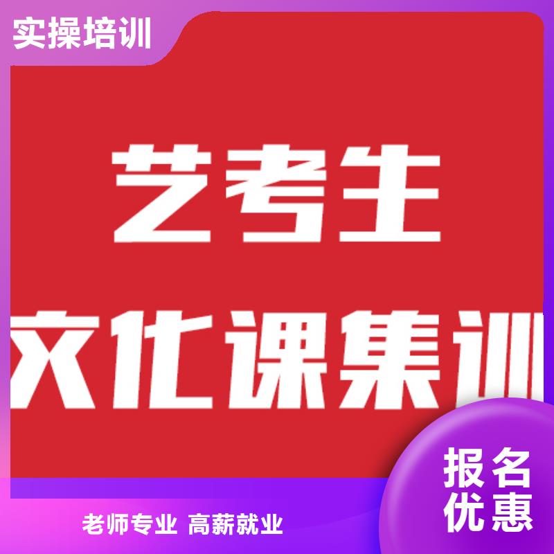 艺术生文化课辅导机构排名能不能行？本地厂家