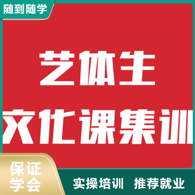 艺术生文化课培训班一年学费值得去吗？本地厂家