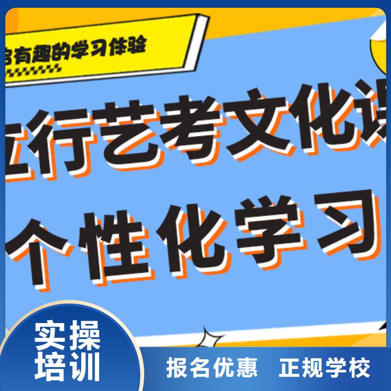 艺考生文化课集训冲刺哪家好艺考生文化课专用教材理论+实操